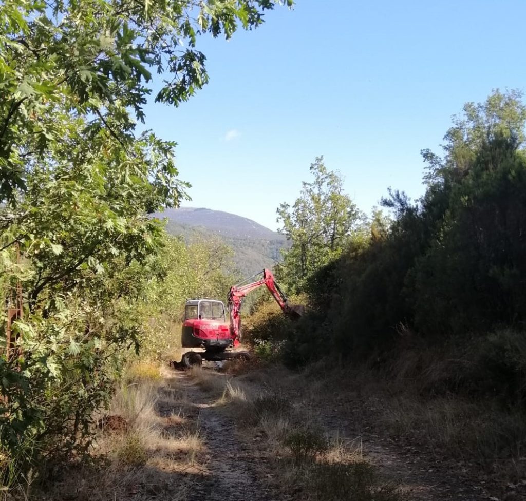 mantenimiento de caminos forestales